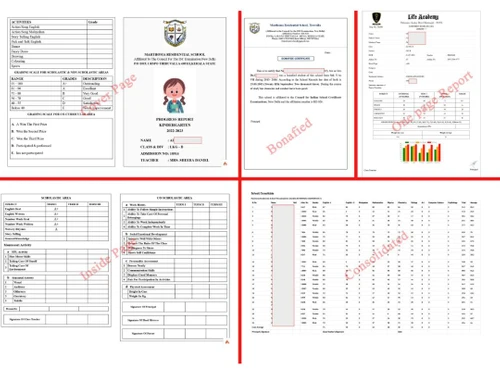 simplex school management-report