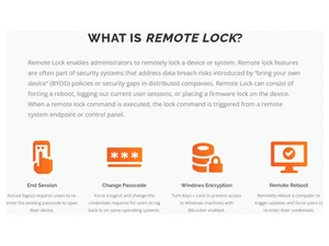 DriveStrike-What is Remote Lock