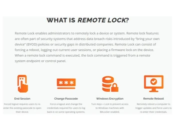 DriveStrike-What is Remote Lock