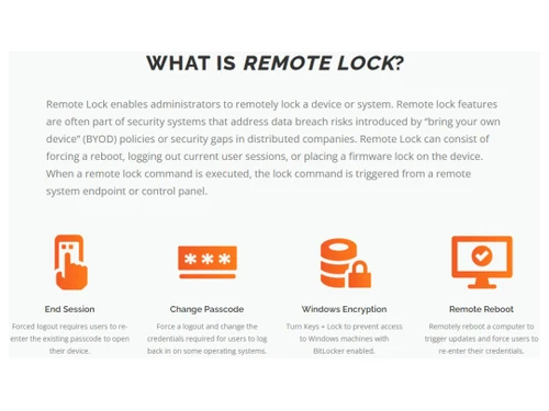 DriveStrike-What is Remote Lock