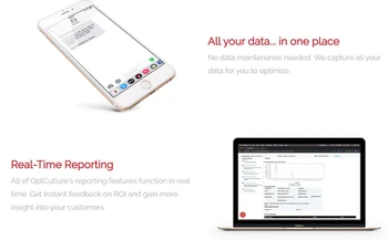 optculture reporting