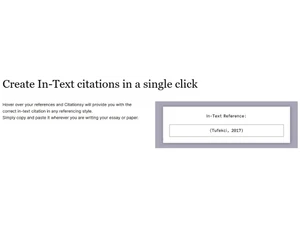 Citationsy In Text