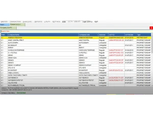 detached accounting software-reports