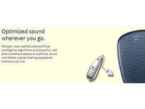 Whisper AI Great Hearing