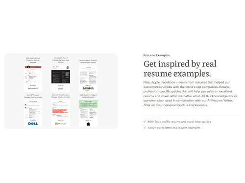 Kickresume Resume Examples