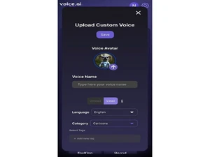 voice-ai-custom