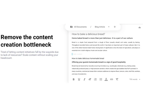 Neuroflash Bottleneck