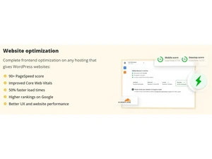 TenWeb Website optimization