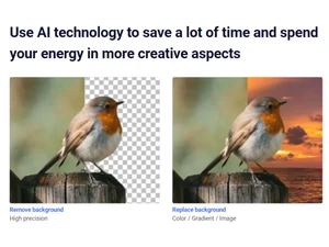 BgSub Background Replace