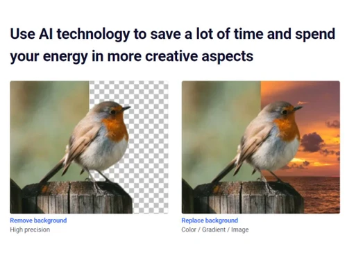 BgSub Background Replace