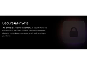 Fig Secure and Private