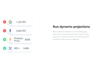 MarketPlan Run dynamic projections