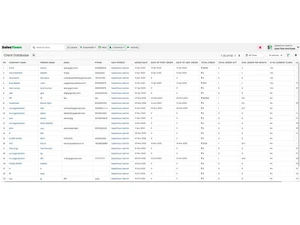 Salestown Client Database