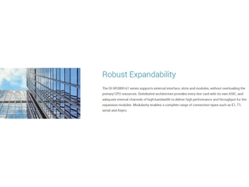 D-Link Routers Robust