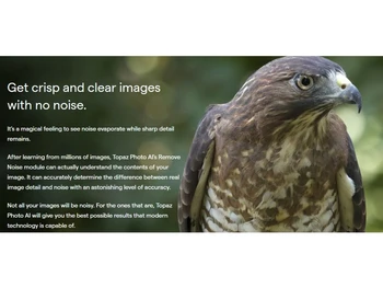 Topaz Photo AI No Noise