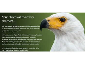 Topaz Photo AI Sharpest