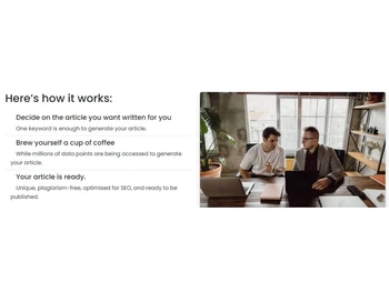 Article Fiesta Content