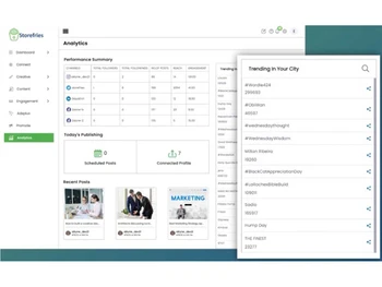 storefries performance