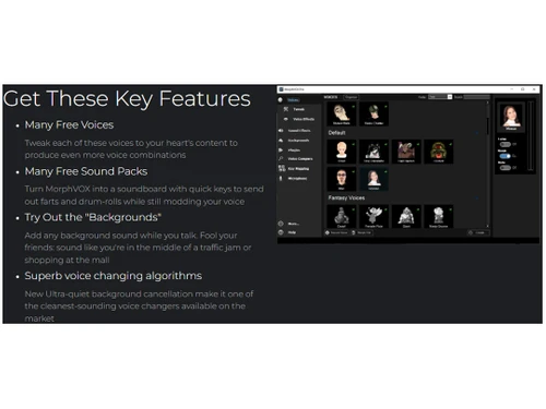 screaming bee features