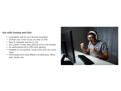 voxal voice changer gaming and chat