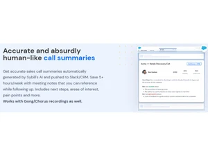 Sybill Call Summaries