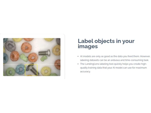 Landing AI Label