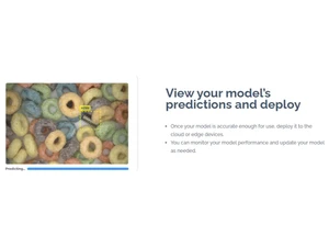 Landing AI Predictions