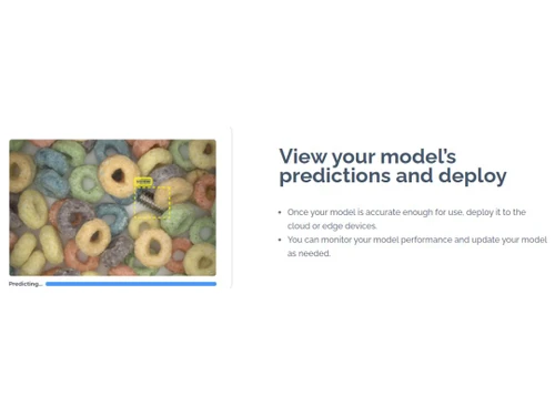 Landing AI Predictions