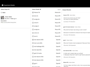 riku ai software-outputs