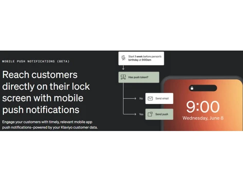 Klaviyo Push Notification