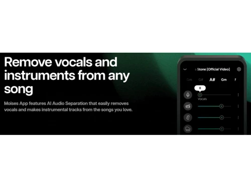 Moises Remove Vocals