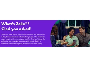 Zelle Security