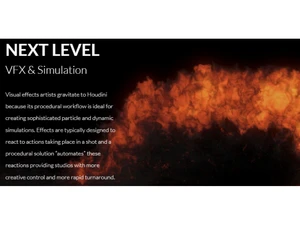 Houdini VFX and Simulation