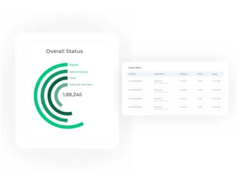 Businessmlm payments