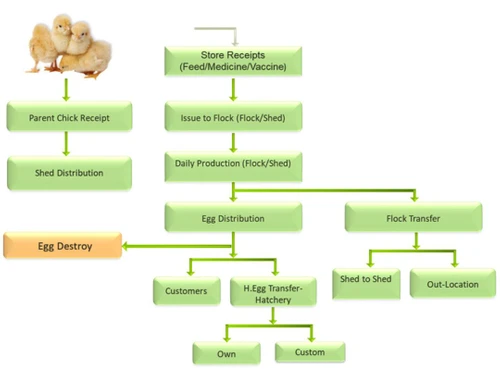 NewGen Poultry ERP Storage