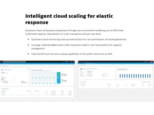 Dynatrace Cloud Monitoring Monitors virtualized environments