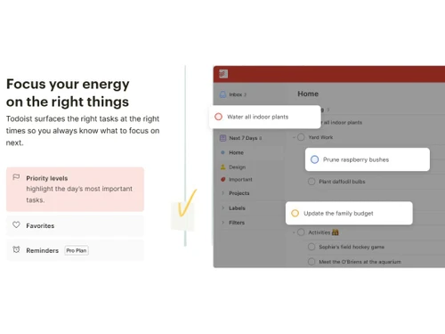 Todoist Reminders