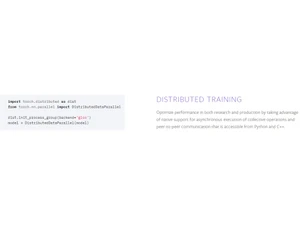 PyTorch Distributed Training