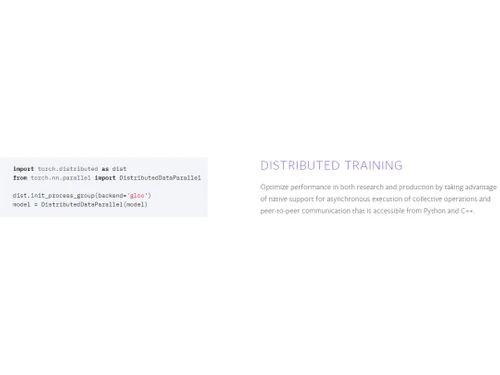 PyTorch Distributed Training