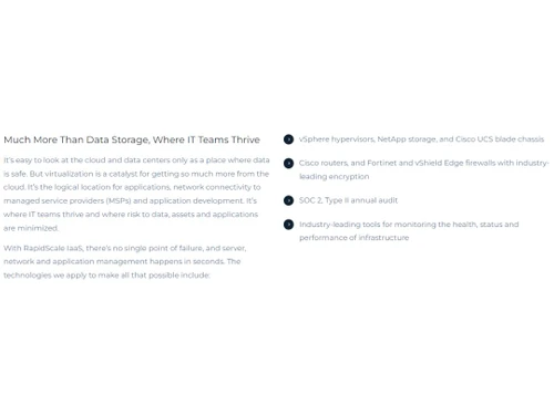 RapidScale More than data storage