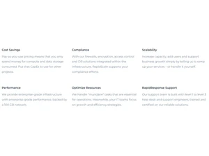 RaptdScale Cost Savings
