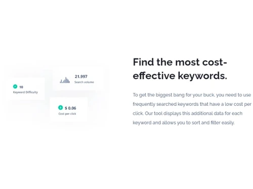 Seodity Cost Effective