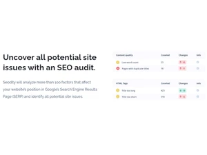 Seodity SEO Audit