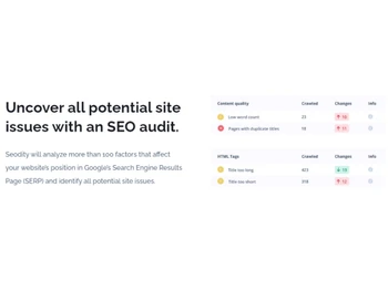 Seodity SEO Audit