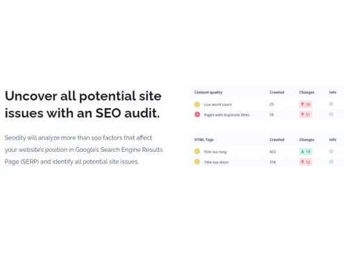 Seodity SEO Audit