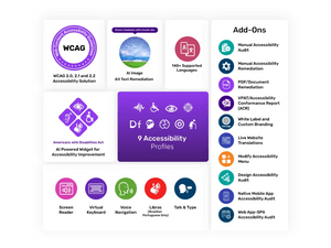All In One Accessibility Pro add ons