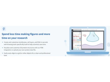 BioRender Collaboration