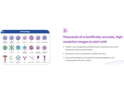 BioRender Customizable