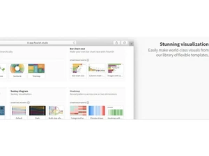 Flourish Visualization