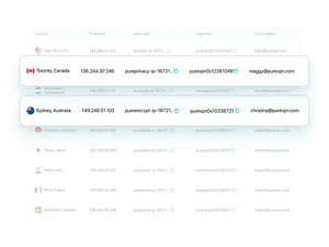 puredome dedicated ips